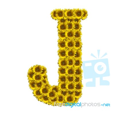 Isolated Sunflower Alphabet J Stock Photo