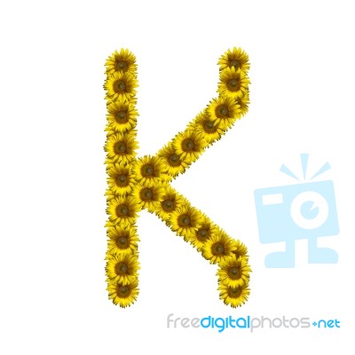 Isolated Sunflower Alphabet K Stock Photo