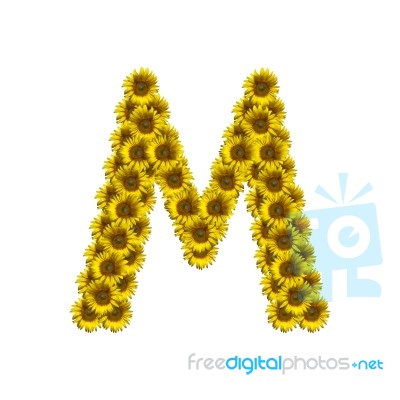 Isolated Sunflower Alphabet M Stock Photo