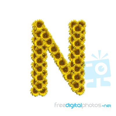 Isolated Sunflower Alphabet N Stock Photo