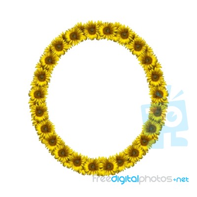 Isolated Sunflower Alphabet O Stock Photo