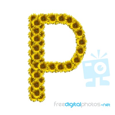 Isolated Sunflower Alphabet P Stock Photo