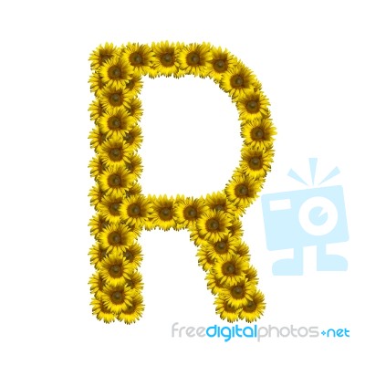 Isolated Sunflower Alphabet R Stock Photo