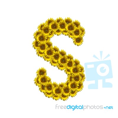 Isolated Sunflower Alphabet S Stock Photo