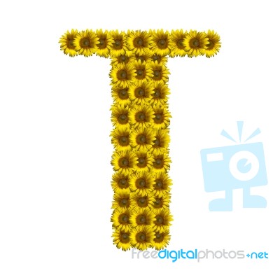 Isolated Sunflower Alphabet T Stock Photo