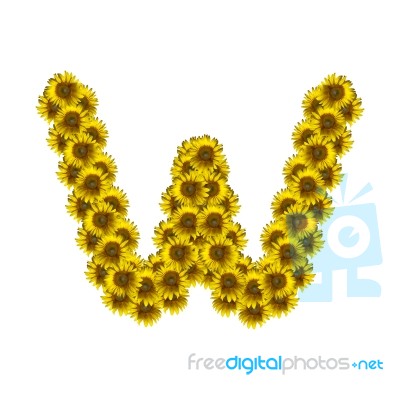 Isolated Sunflower Alphabet W Stock Photo