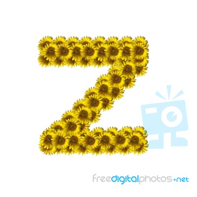 Isolated Sunflower Alphabet Z Stock Photo