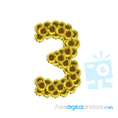 Isolated Sunflower Number 3 Stock Photo