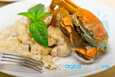 Italian Gnocchi With Seafood Sauce With Crab And Basil Stock Photo