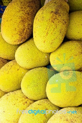 Jack Fruit Stock Photo