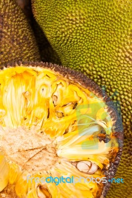 Jack Fruit Stock Photo