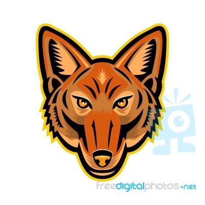 Jackal Head Front Mascot Stock Image