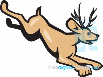 Jackalope Jumping Side Cartoon Stock Image