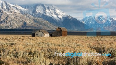 Jackson, Wyoming/usa - September 30 : View Of Mormon Row Near Ja… Stock Photo