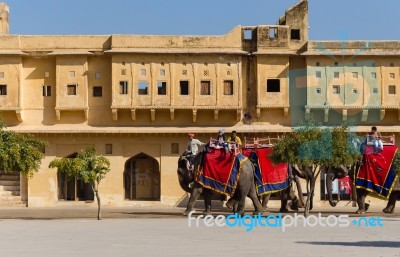 Jaipur, India - December 29, 2014: Decorated Elephant Carries To… Stock Photo