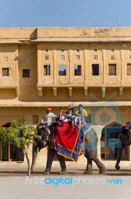 Jaipur, India - December 29, 2014: Decorated Elephant Carries To… Stock Photo