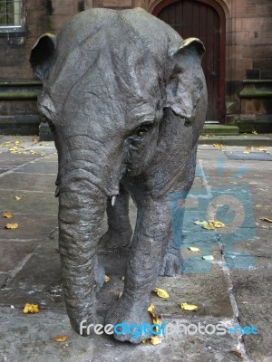 Janya Elephant Sculpture In Chester Cheshire Stock Photo