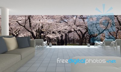 Japan Style Interior With Sakura Flower Tree-3d Rendering Stock Image