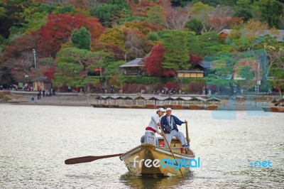 Japanese Boatman Sail Boat To Enjoy Autumn Leave Stock Photo