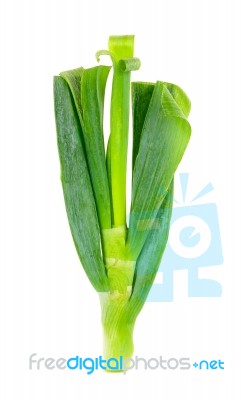 Japanese Bunching Onion Isolated Stock Photo