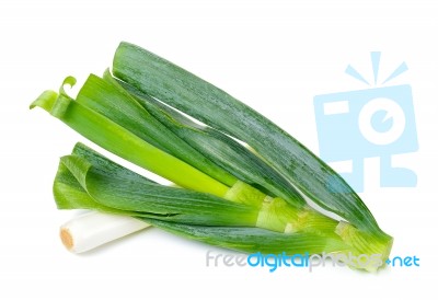 Japanese Bunching Onion Isolated Stock Photo