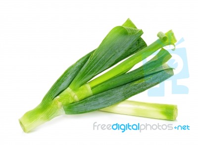 Japanese Bunching Onion Isolated Stock Photo