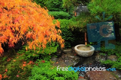 Japanese Garden Decoration Stock Photo