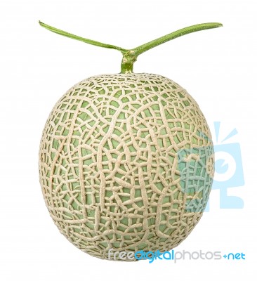 Japanese Melon Isolated On The White Background Stock Photo