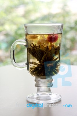 Jasmine Tea Stock Photo