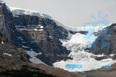 Jasper, Alberta/canada - August 9 : Athabasca Glacier In Jasper Stock Photo