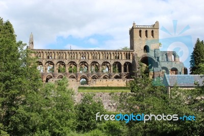 Jedburgh Abbey Stock Photo