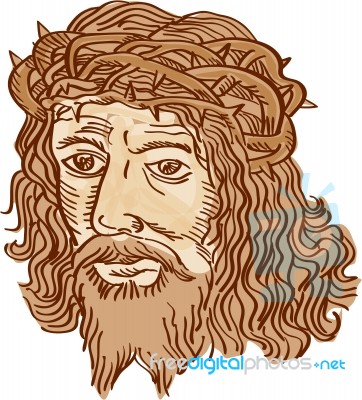 Jesus Christ Face Crown Thorns Etching Stock Image