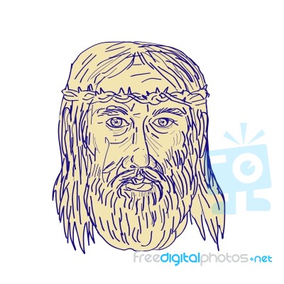 Jesus Face Crown Of Thorns Drawing Stock Image