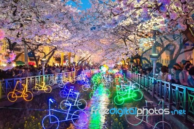 Jinhae,korea - April 2 : Jinhae Gunhangje Festival Is The Largest Cherry Blossom Festival In Korea.tourists Taking Photos Of The Beautiful Scenery Around Jinhae,korea On April 2,2016 Stock Photo