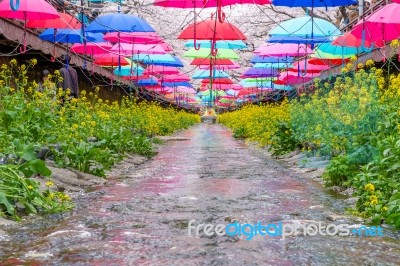 Jinhae,korea - April 4 : Jinhae Gunhangje Festival Is The Largest Cherry Blossom Festival In Korea.tourists Taking Photos Of The Beautiful Scenery Around Jinhae,korea On April 4,2015 Stock Photo