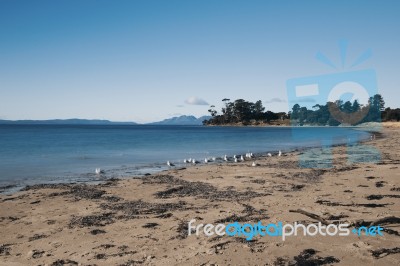 Jubilee Beach In The Town Of Swansea, Tasmania Stock Photo