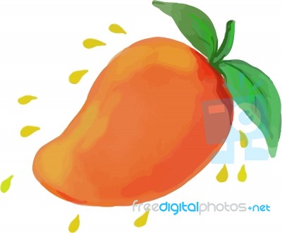 Juicy Mango Fruit Watercolor Stock Image