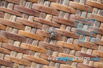 Jumping Spider On Native Thai Style Bamboo Wall Stock Photo