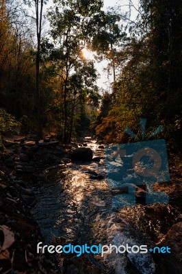 Jungle Landscape With Flowing Turquoise Water Waterfall At Deep Stock Photo