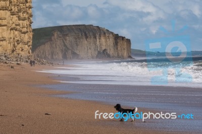 Jurassic Coastline At Lyme Regis Stock Photo