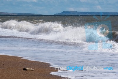 Jurassic Coastline At Lyme Regis Stock Photo