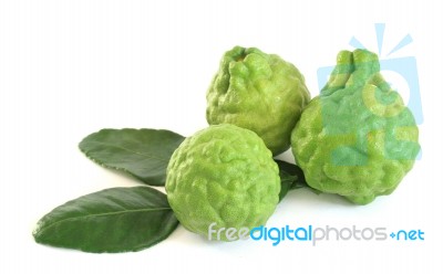 Kaffir Limes Stock Photo