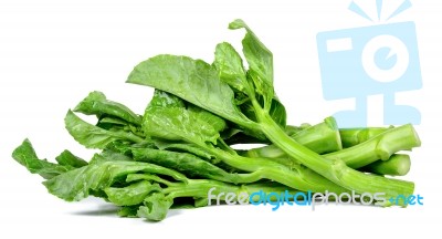 Kale Vegetable Isolated On The White Background Stock Photo