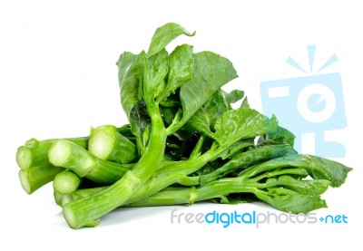 Kale Vegetable Isolated On The White Background Stock Photo