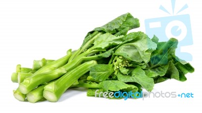 Kale Vegetable Isolated On The White Background Stock Photo