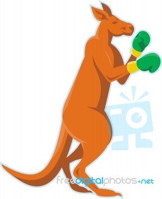 Kangaroo Boxer Boxing Retro Stock Image