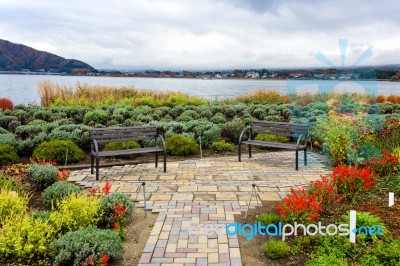 Kawaguchiko Lake Viewpoint With Autumn Garden Stock Photo