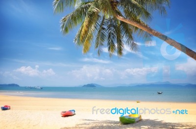 Kayak Boat With Coconut Palm Trees On Tropical Beach Background Stock Photo