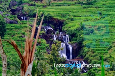 Kedung Kandang Waterfall Stock Photo