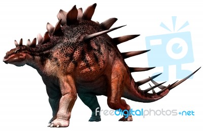 Kentrosaurus Stock Image